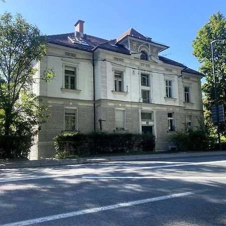 Charming Appartment 3-Min Walk To Old Town - Free Parking Ljubljana Buitenkant foto